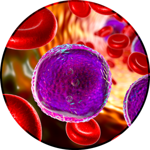 Clinical Lab Services - Internationally Standardized Testing - LabPMM ...
