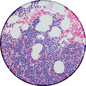 Invivoscribe and LabPMM Clinical Lab Worldwide Locations